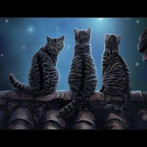 Meet your Posher, Diane